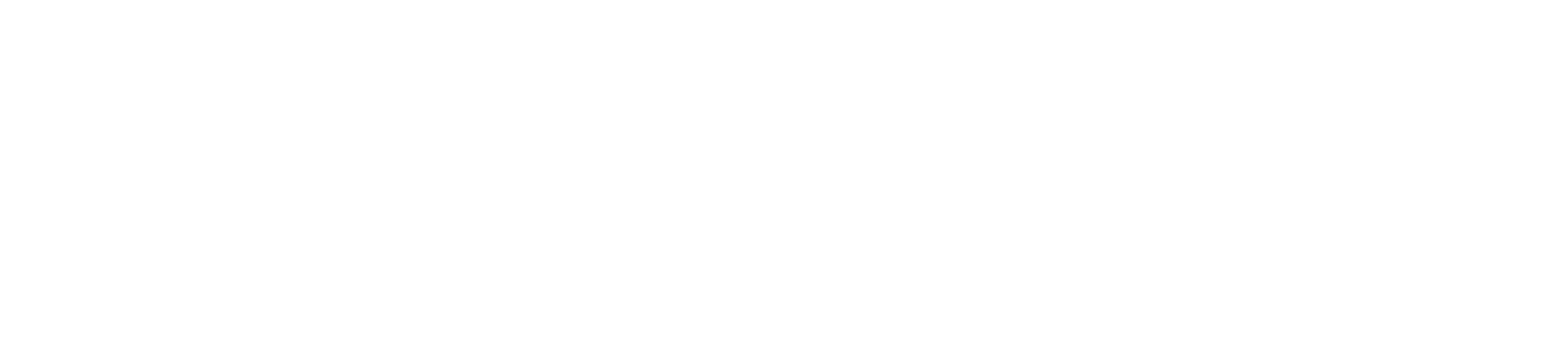 logo limaxx